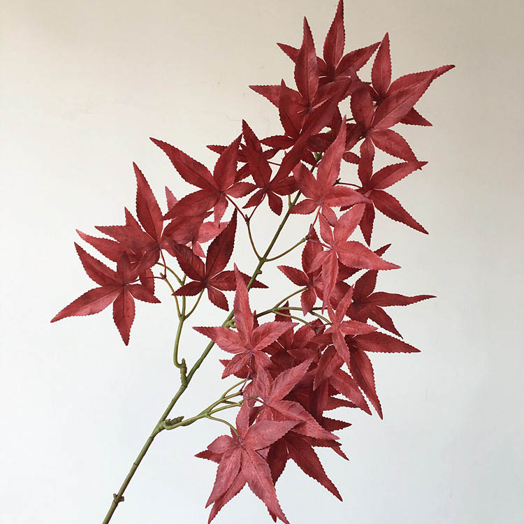 Canadian Red Maple Leaf for Wedding Decoration
